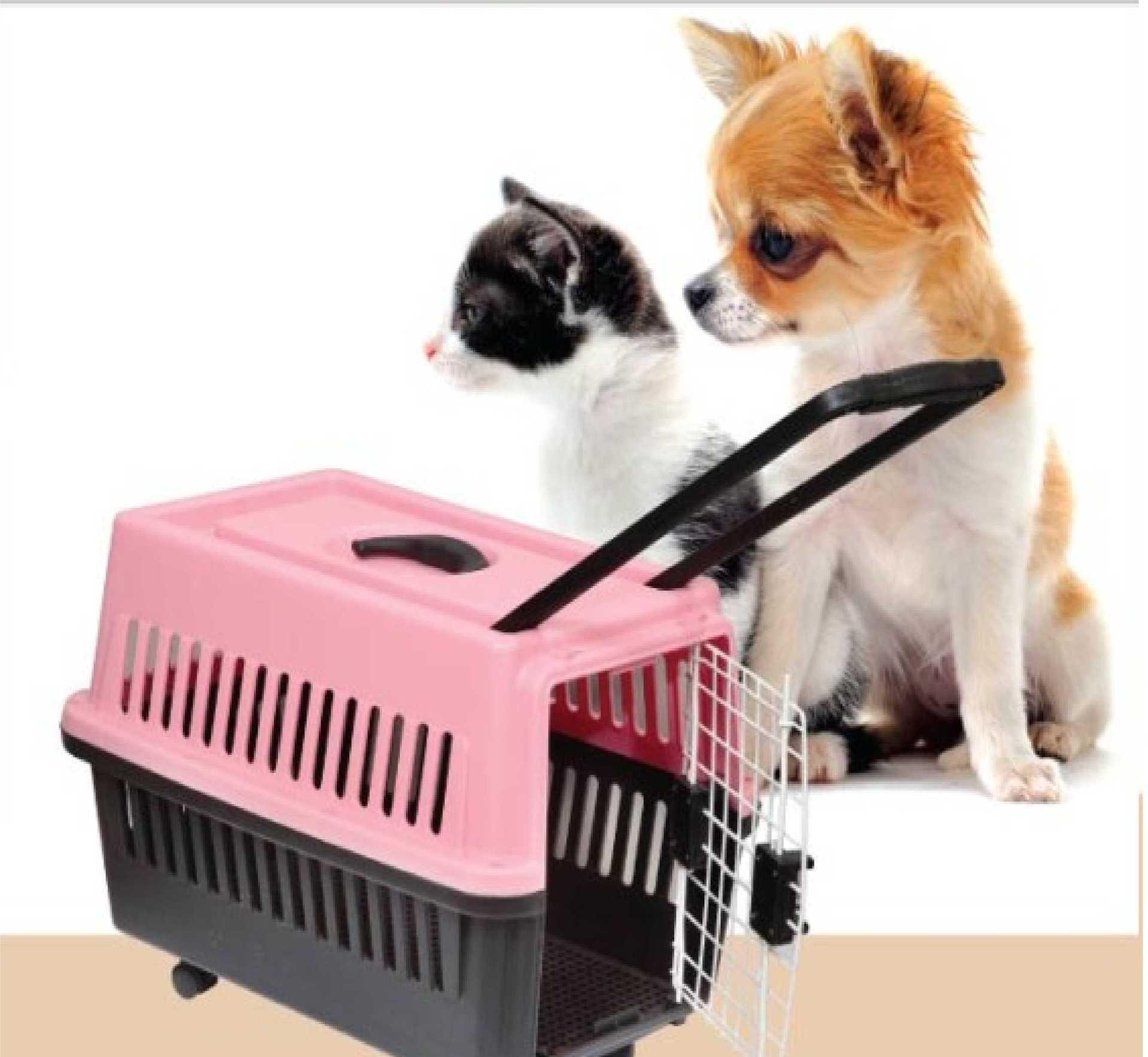 成都寵物空運出口操作流程