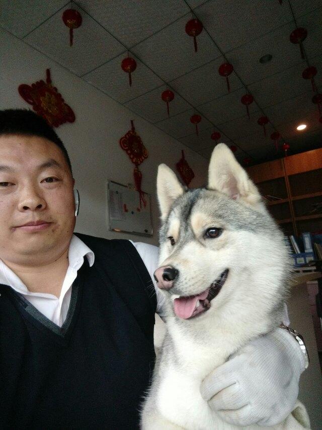 成都寵物空運(yùn) 成都寵物空運(yùn)