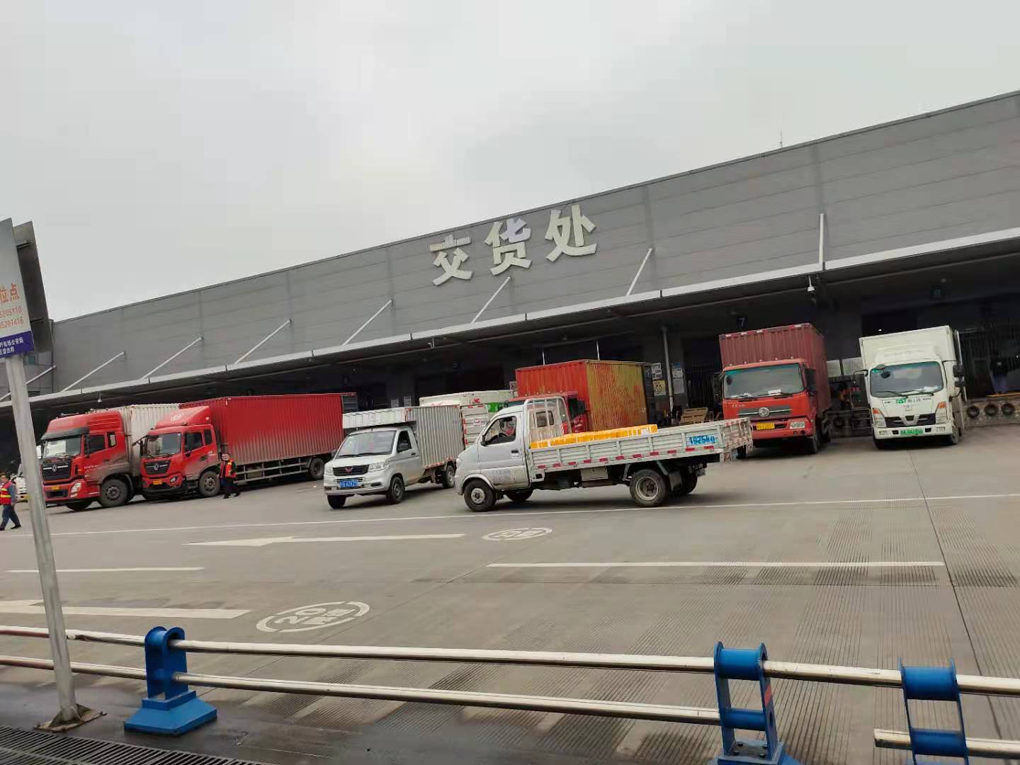 一只貓從成都發往上海需要怎么做?-成都寵上天寵物托運服務有限公司 一只貓從成都發往上海需要怎么做?-成都寵上天寵物托運服務有限公司