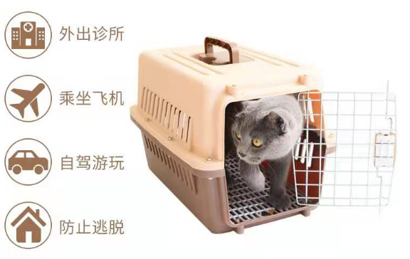 寵物空運是怎么才能少受點傷害？