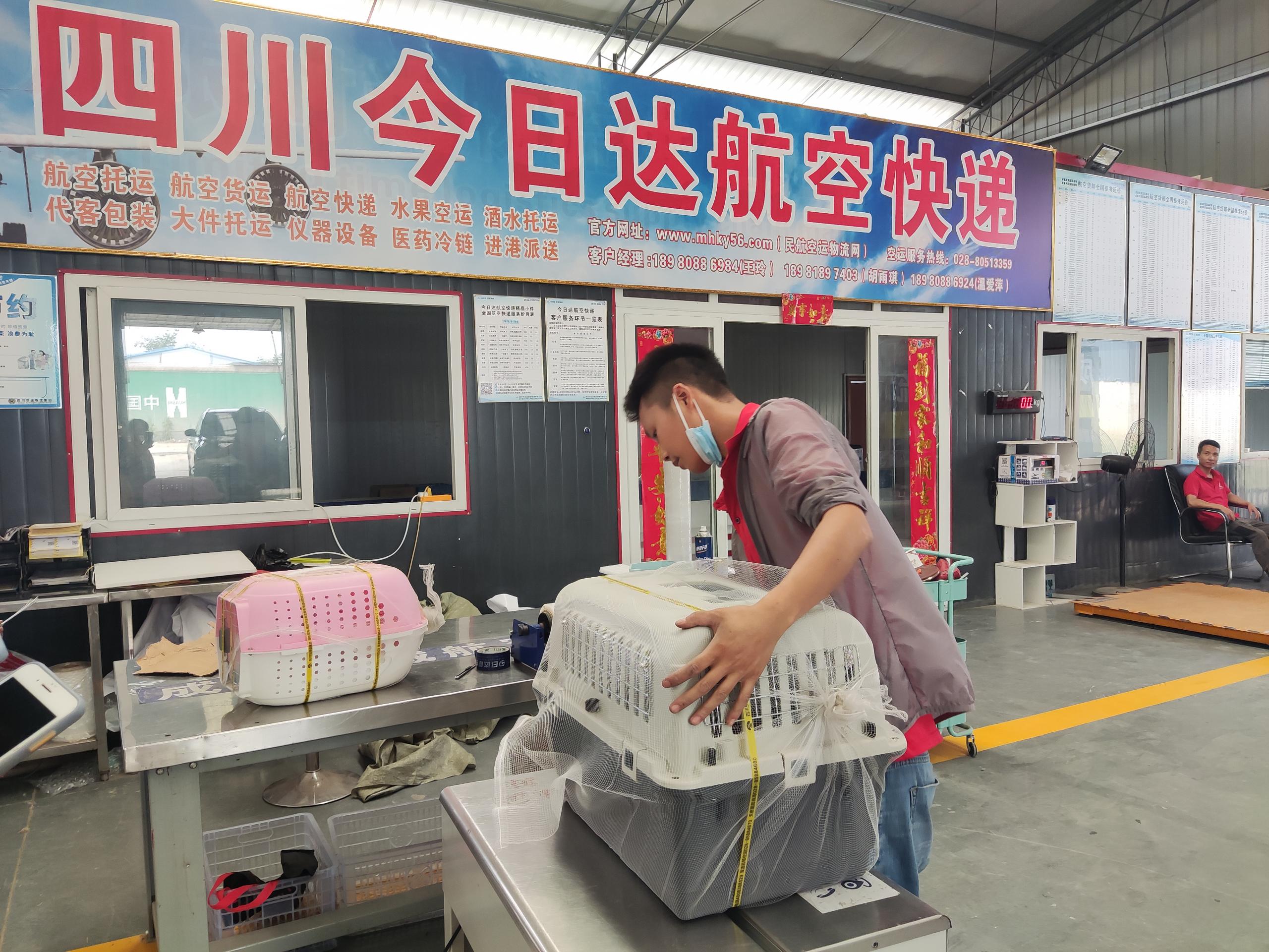 202403261037b1dcdea29738be7db489417794d2.jpg 202403261037b1dcdea29738be7db489417794d2.jpg