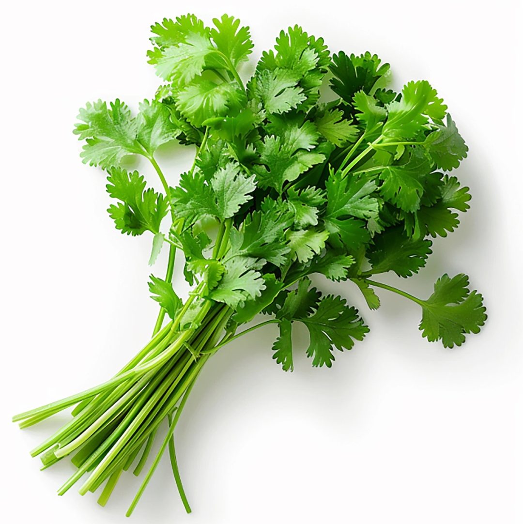 易腐農產品--兩噸香菜